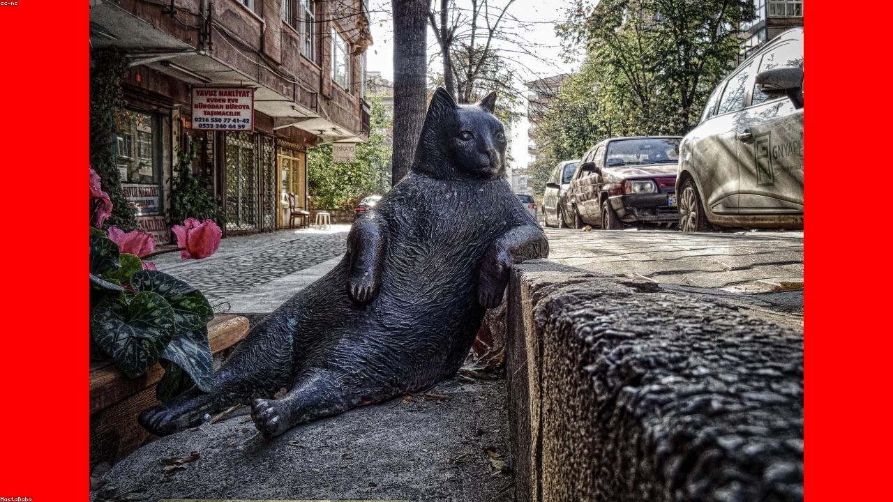 26 Secret Tips to Improve Your Technology News